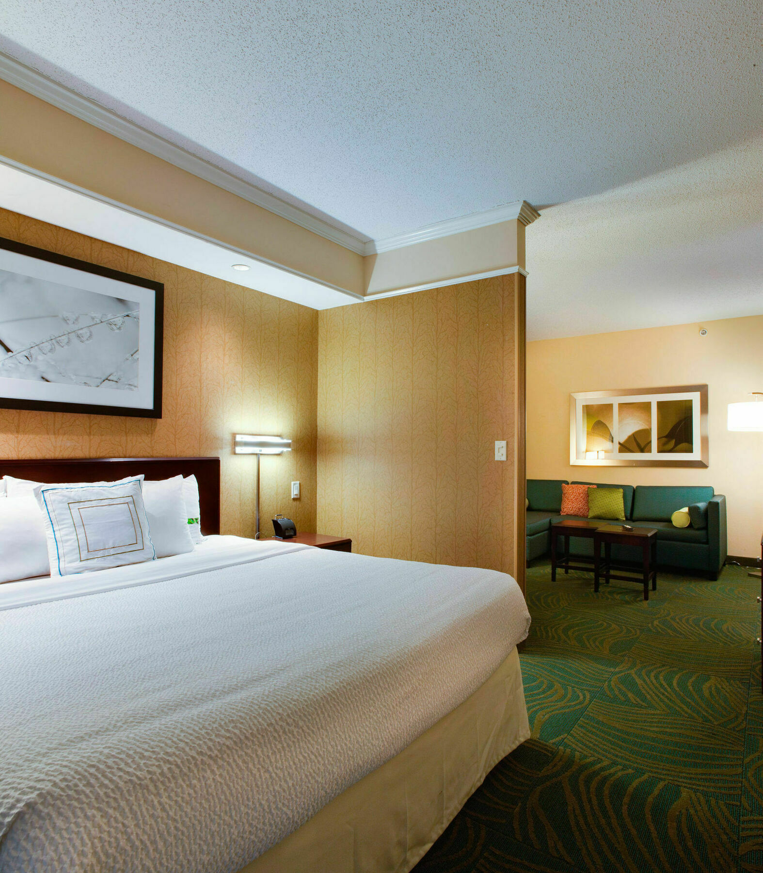 Springhill Suites By Marriott Savannah I-95 South Georgetown Exteriér fotografie
